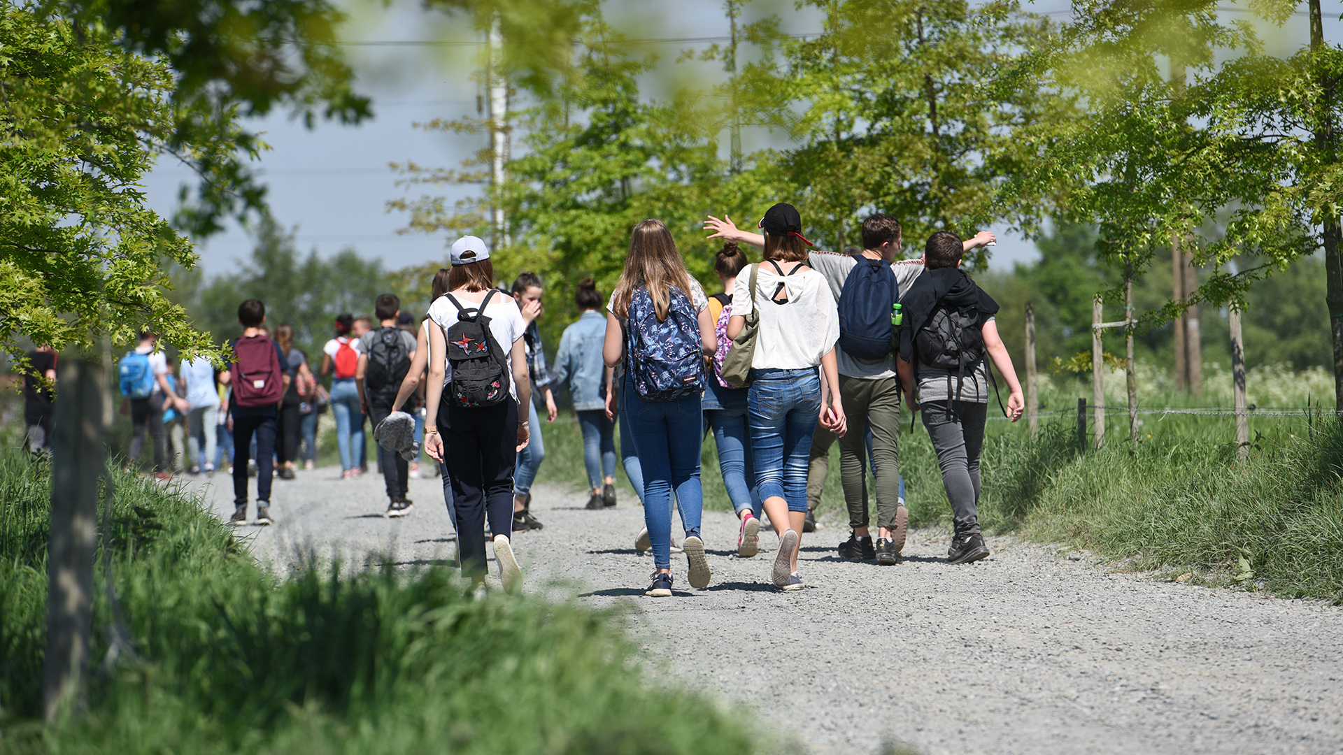 Online-Partnertagung für deutsche und tschechische Sportvereine und -verbände. Gruppe von Menschen, die auf einem Schotterweg zwischen Bäumen spazieren. Einige tragen Rucksäcke, andere haben die Hände in die Luft gehoben. Es sind etwa 20 Personen sichtbar.