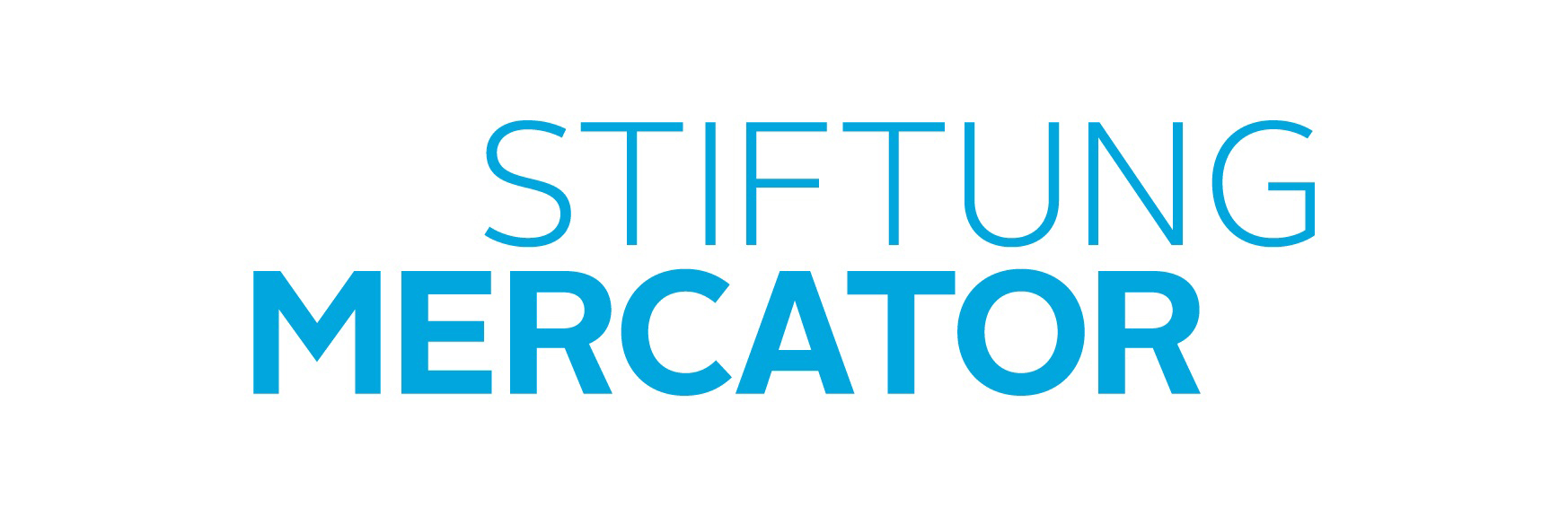 Logo „Stiftung Mercator“