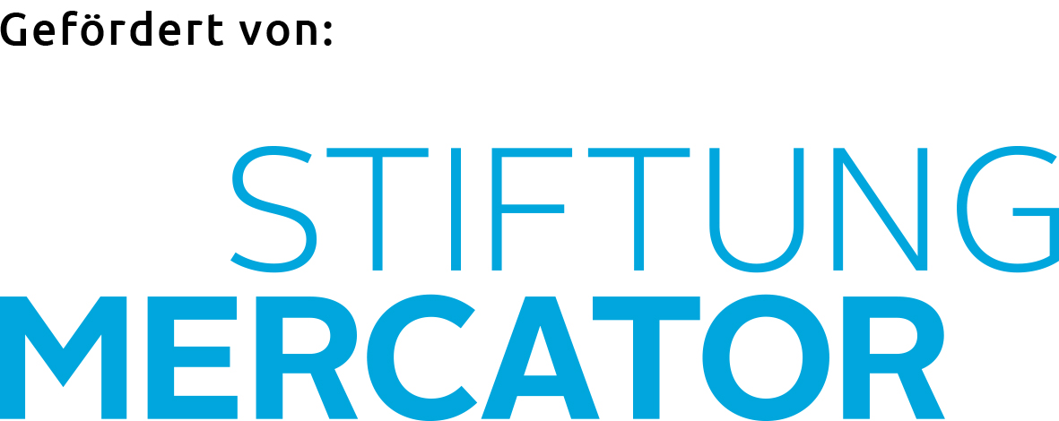 Logo „Stiftung Mercator“