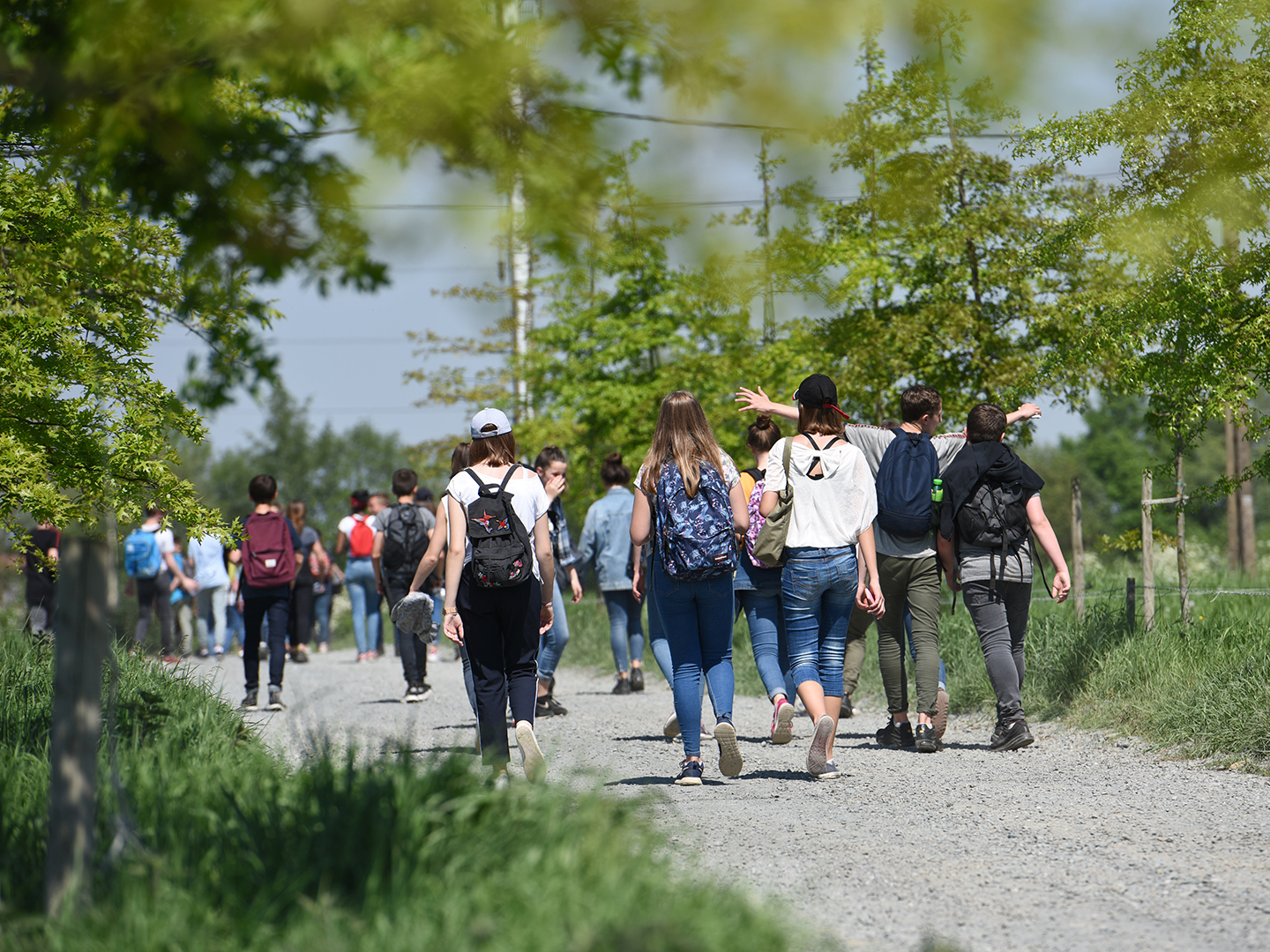 Eine Gruppe von jungen Menschen geht auf einem Kiesweg, umgeben von Bäumen und Grünflächen. Die Teilnehmenden tragen Rucksäcke und sind in lockerer Freizeitkleidung. Es ist sonnig und die Stimmung wirkt entspannt und gesellig.