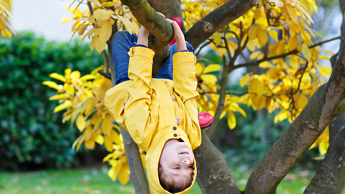 Ein Kind in einem gelben Regenmantel hängt kopfüber von einem Baum. Der Baum hat gelbe Blätter, und im Hintergrund sind grüne Sträucher zu sehen. Das Kind lächelt und scheint Spaß zu haben.