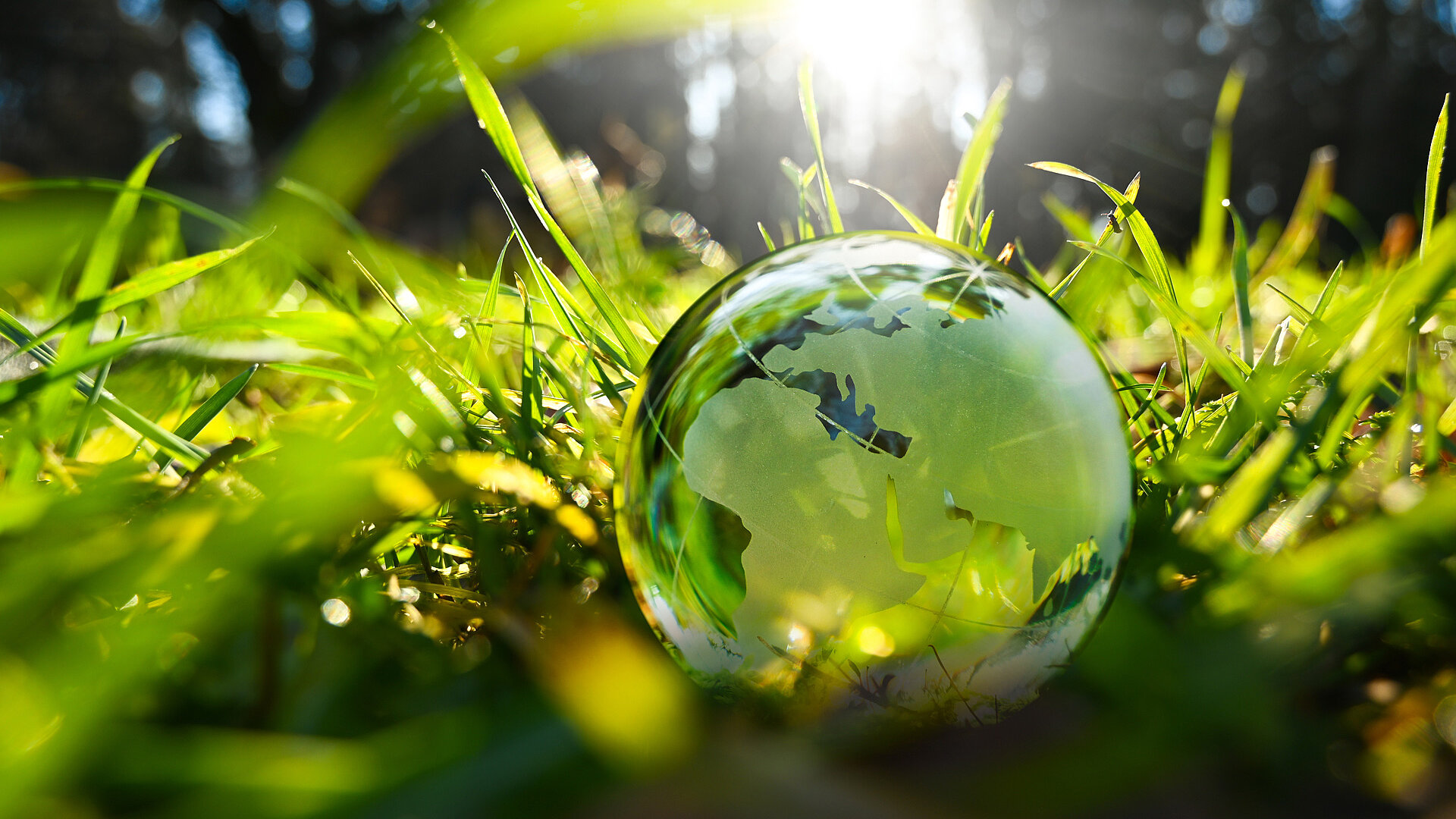 Eine Weltkugel aus Glas liegt im Gras
